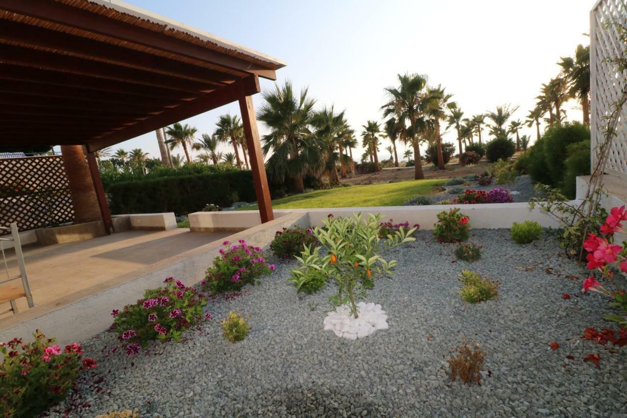Yulya Villa By Taimoura Paphos 外观 照片