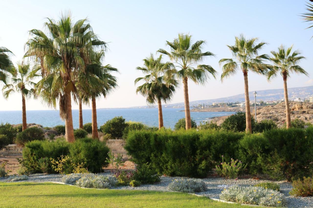 Yulya Villa By Taimoura Paphos 外观 照片