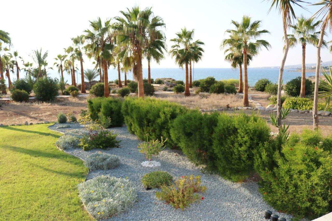 Yulya Villa By Taimoura Paphos 外观 照片